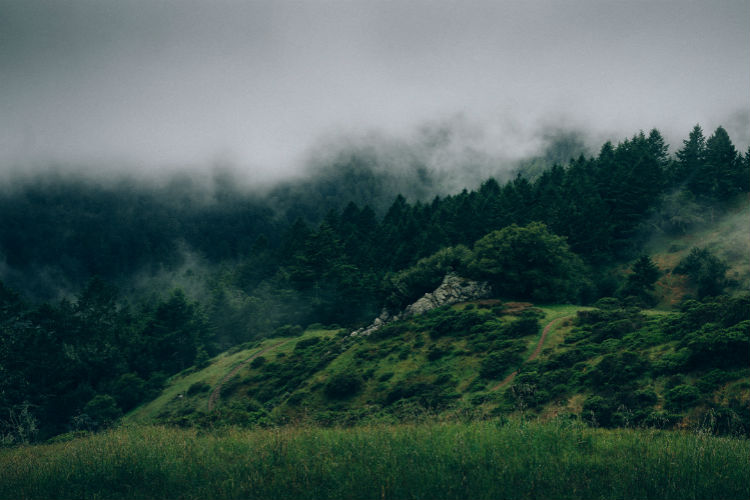 攻击网站服务器